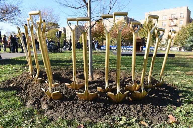 City Expands Urban Tree Planting Initiative